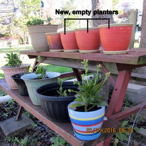 Four new planters