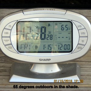 Temperature at twelve-thirty-eight