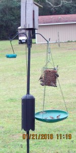 Lots of birds on feeder