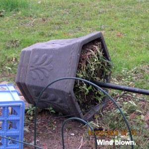 Wind blown planter base of bird house and feeder