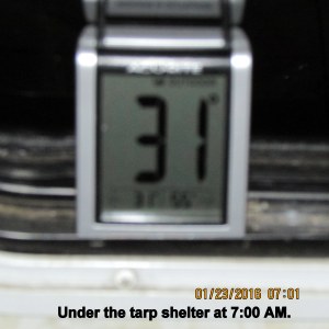 Temperature at seven under tarp shelter