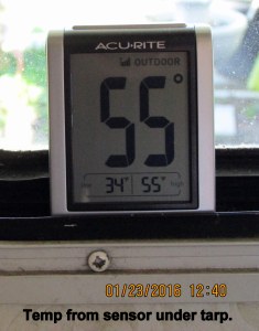 Temperature from sensor under tarp shelter