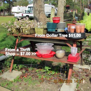 Potential planters from Dollar Tree and thrift shop