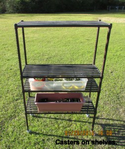 Shelves with casters