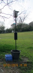 Ready for the Bluebirds