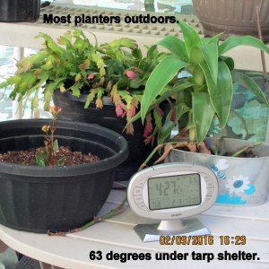 Time and temperature