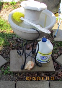 Bleaching the fountain