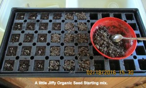 A little Jiffy mix on top of each