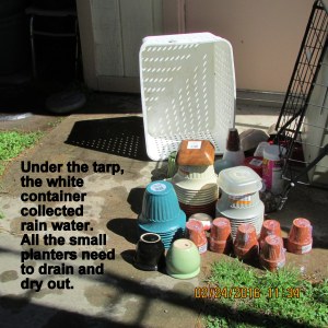 Drying small planters