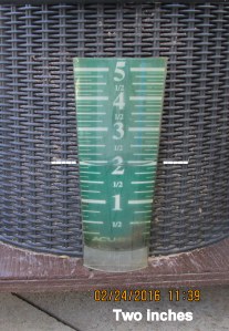 Two inches of rain