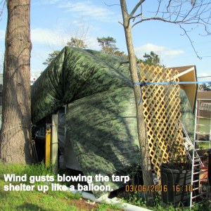 Tarp shelter like a balloon