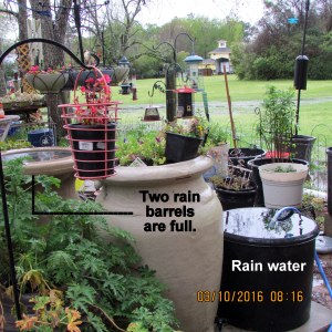 Full rain barrels
