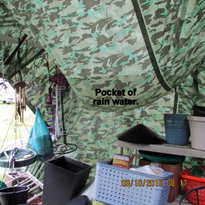 Pocket of rain water