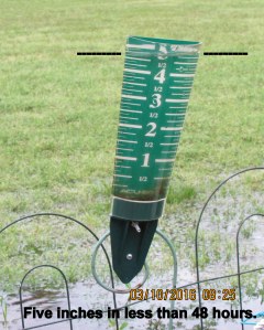 Five inches of water in rain gauge