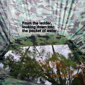 Above the pocket of rain water