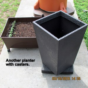 Caster dolly on planter