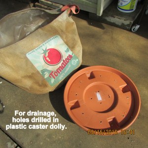 For drainage, holes drilled in caster dolly