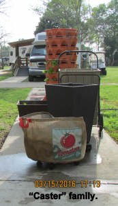 Caster family is growing