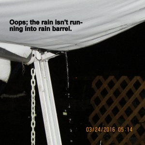 Oops, the rain is missing the rain barrel