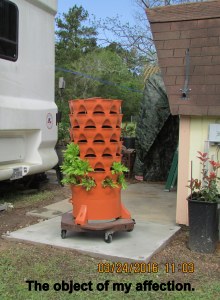 The object of my affection