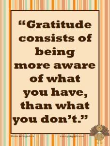 Gratitude consists of (poster)