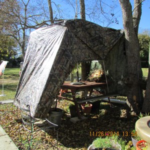 Tarp shelter for perennial plants