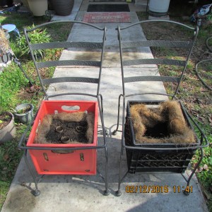 Two chairs with planters