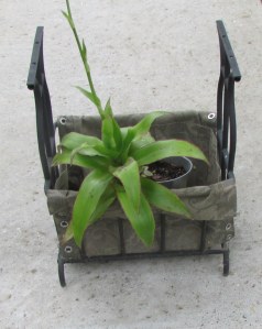 Magazine rack planter (1)