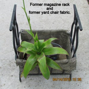 Magazine rack planter (2)