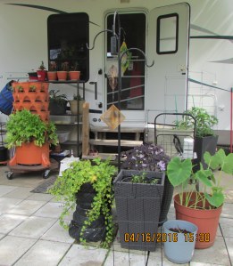 Garden Tower under cover