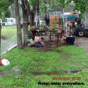 Water water everywhere