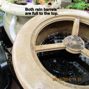 Rain barrels are full