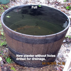 Planter full of water