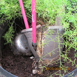 Cutting planter open