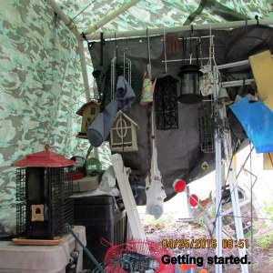 North side; getting started