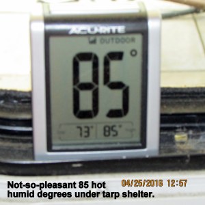 Eighty-five degrees under tarp shelter