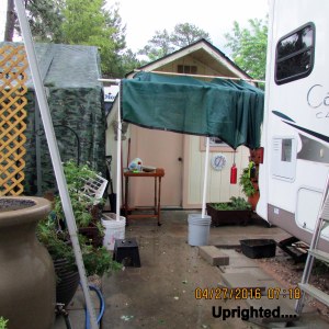 Uprighted shade supports