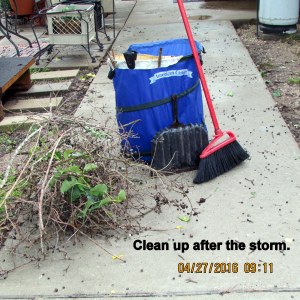 Clean up after the storm