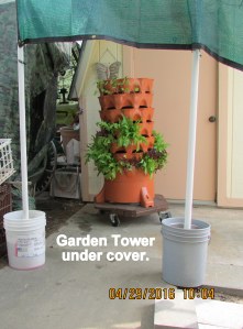 Garden Tower under cover