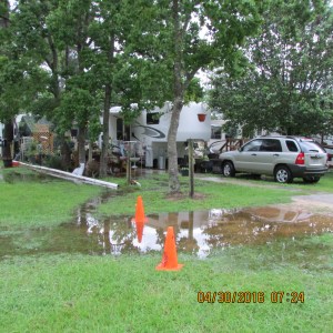 From the field at end of street