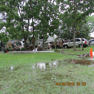 Long view from the field