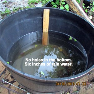 Six inches of rain water