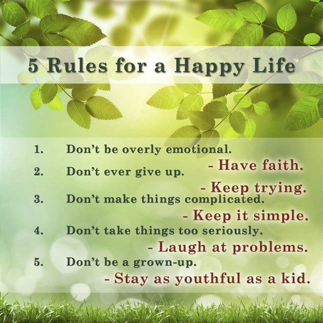 Rules for a happy life (poster)