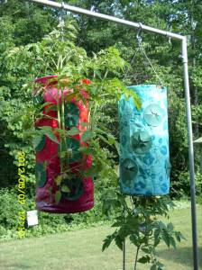 Tomato planters