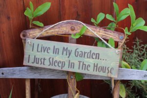 I live in my garden (poster)