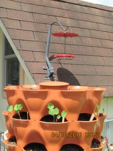 Feeder on the east side