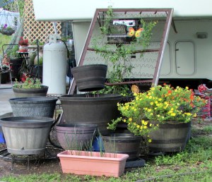 Planters in front of trailer