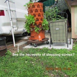 Need for stepping stones