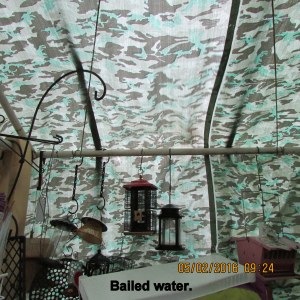 Bailed water from tarp roof