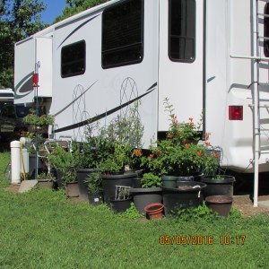 The neighbor's view (2)